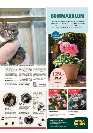 arbetarbladet-20230608_000_00_00_007.pdf