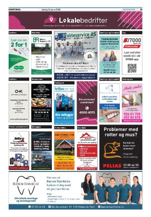 askerbudstikka-20260110_000_00_00_035.pdf