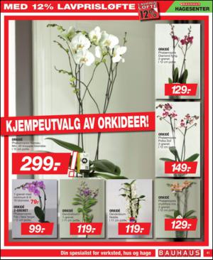 askerbudstikka_cm_bauhaus-20130516_000_00_00_041.pdf