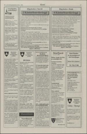 assu-19940630_000_00_00_017.pdf