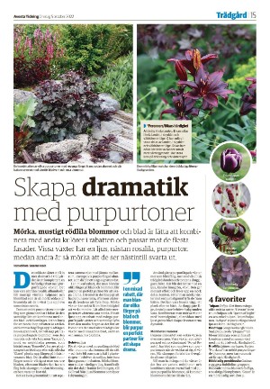 avestatidning-20221005_000_00_00_015.pdf
