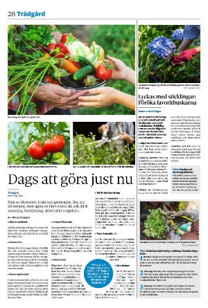 avestatidning-20240710_000_00_00_028.pdf