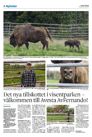 avestatidning-20250516_000_00_00_008.pdf