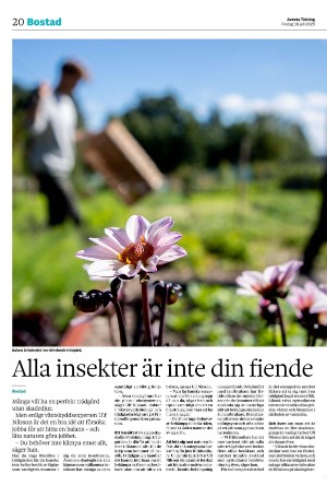 avestatidning-20250718_000_00_00_020.pdf