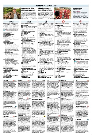 avestatidning_bilag-20250129_000_00_00_002.pdf