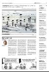 avisanordland-20080124_000_00_00_003.pdf