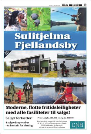 avisanordland_bolig-20141003_000_00_00_013.pdf