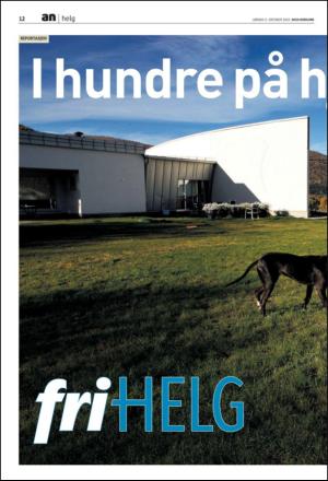 avisanordland_fri-20101009_000_00_00_012.pdf