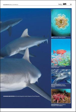 avisanordland_fri-20110924_000_00_00_021.pdf