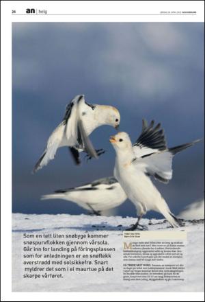 avisanordland_fri-20120428_000_00_00_024.pdf