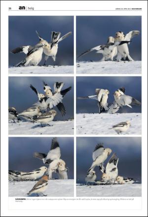 avisanordland_fri-20120428_000_00_00_026.pdf