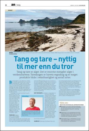 avisanordland_fri-20130608_000_00_00_022.pdf