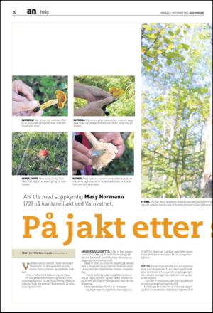 avisanordland_fri-20130914_000_00_00_020.pdf