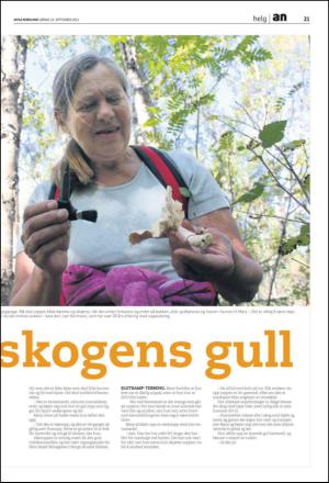 avisanordland_fri-20130914_000_00_00_021.pdf