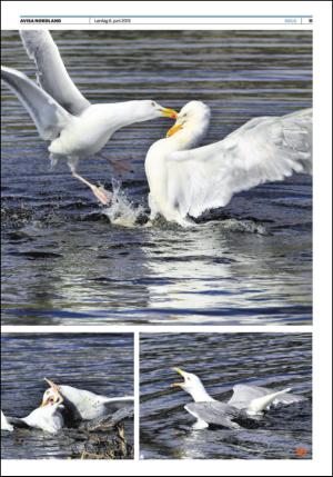 avisanordland_fri-20150606_000_00_00_011.pdf