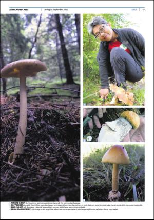 avisanordland_fri-20150919_000_00_00_017.pdf
