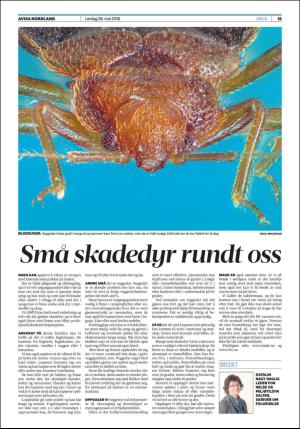 avisanordland_fri-20160528_000_00_00_015.pdf