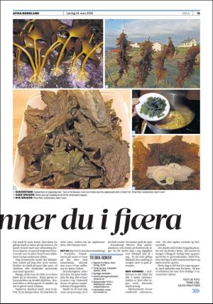 avisanordland_fri-20180324_000_00_00_013.pdf