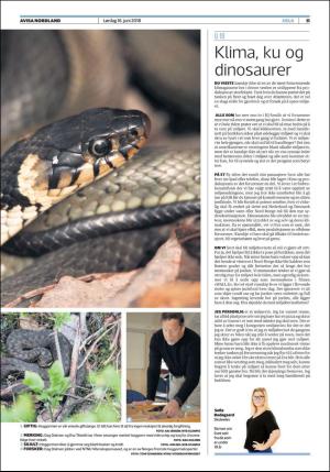 avisanordland_fri-20180616_000_00_00_011.pdf