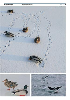 avisanordland_fri-20181215_000_00_00_009.pdf