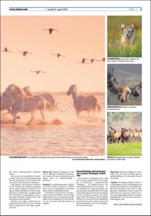 avisanordland_fri-20190824_000_00_00_009.pdf