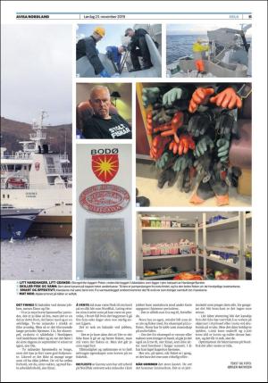 avisanordland_fri-20191123_000_00_00_011.pdf