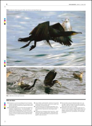 avisanordland_helg-20050312_000_00_00_008.pdf