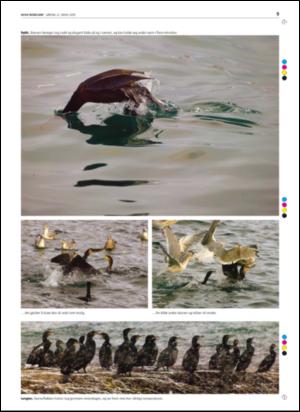 avisanordland_helg-20050312_000_00_00_009.pdf