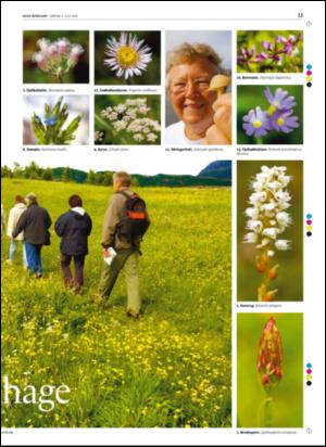 avisanordland_helg-20050702_000_00_00_011.pdf