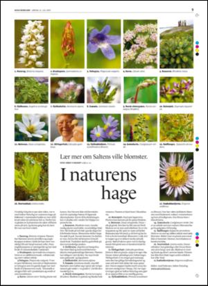 avisanordland_helg-20050716_000_00_00_009.pdf