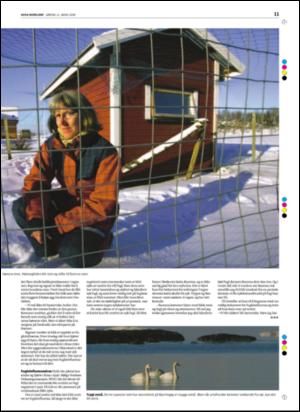 avisanordland_helg-20060311_000_00_00_011.pdf