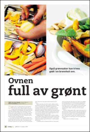 avisanordland_helg-20081025_000_00_00_030.pdf