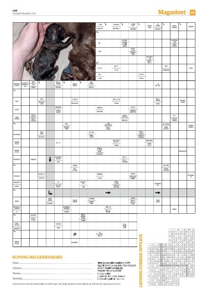 avisaopp-20241219_000_00_00_023.pdf