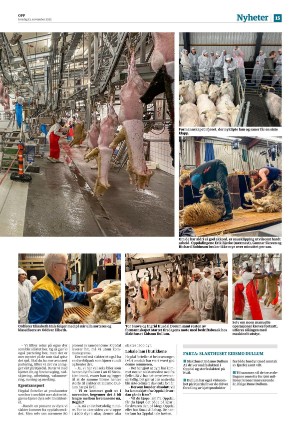 avisaopp-20251113_000_00_00_015.pdf