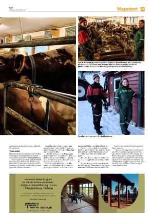 avisaopp-20251204_000_00_00_019.pdf