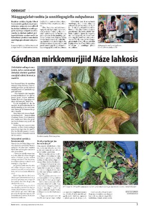 avvir-20240909_000_00_00_003.pdf
