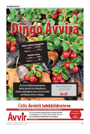 avvir-20240910_000_00_00_015.pdf