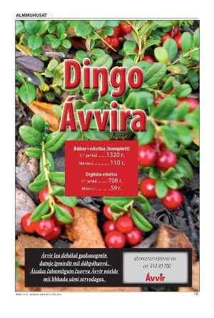 avvir-20240913_000_00_00_019.pdf