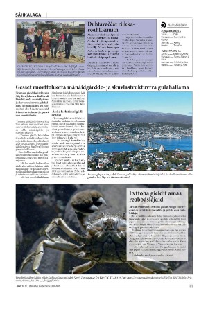 avvir-20250403_000_00_00_011.pdf
