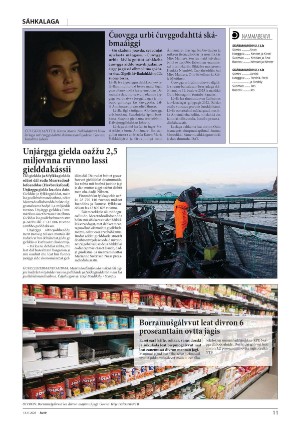 avvir-20251113_000_00_00_011.pdf