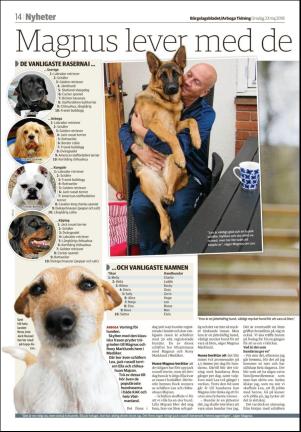 bargslagsbladet-20180523_000_00_00_014.pdf