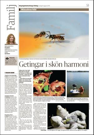 bargslagsbladet-20180810_000_00_00_053.pdf
