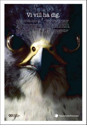 bargslagsbladet-20190111_000_00_00_048.pdf