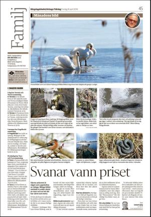 bargslagsbladet-20190426_000_00_00_045.pdf