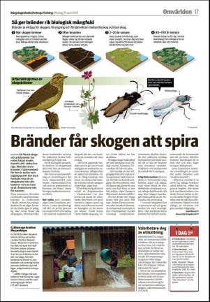 bargslagsbladet-20190429_000_00_00_017.pdf