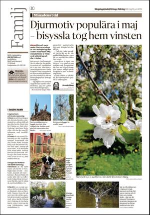bargslagsbladet-20190610_000_00_00_030.pdf