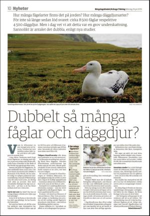 bargslagsbladet-20190729_000_00_00_010.pdf