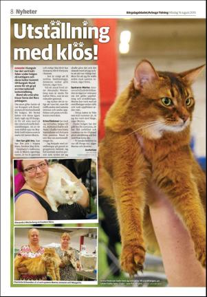 bargslagsbladet-20190819_000_00_00_008.pdf