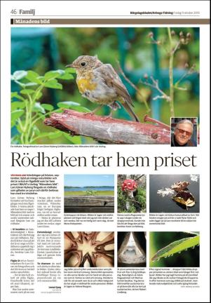 bargslagsbladet-20191011_000_00_00_046.pdf