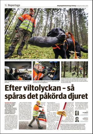 bargslagsbladet-20191018_000_00_00_016.pdf